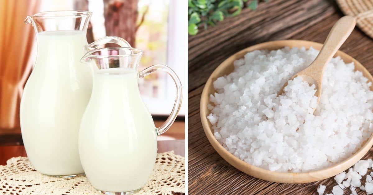 Two glass pitchers of milk rest on a lace doily; nearby, a wooden bowl brimming with coarse salt hints at the creation of rich homemade butter, accompanied by a wooden spoon on the rustic surface.