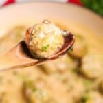 A spoon featuring the finished ball.