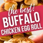 Stack of buffalo egg rolls and one with a bite taken out.