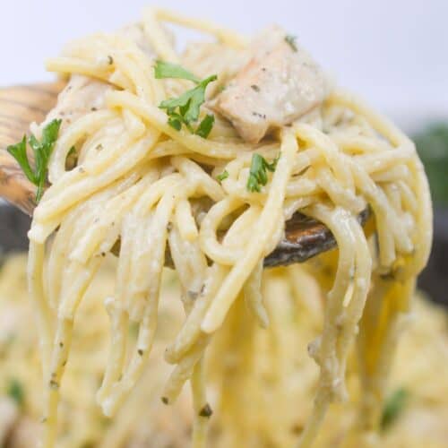 A close-up of a fork lifting a serving of creamy chicken pesto pasta with pieces of chicken and garnished with fresh parsley.