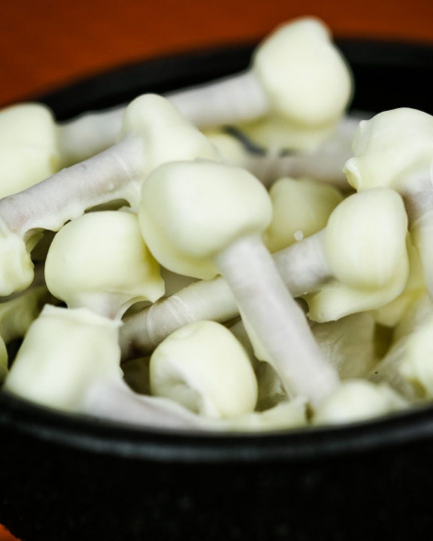 Chocolate Bones