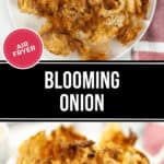 Two plates of crispy, golden blooming onion labeled "Air Fryer" sit side by side, with the words "Blooming Onion" elegantly placed between them.