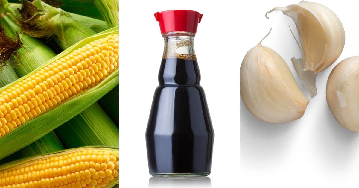 Close-up of Asian Corn on the cob, a bottle of soy sauce with a red cap, and two garlic cloves arranged on a white background.