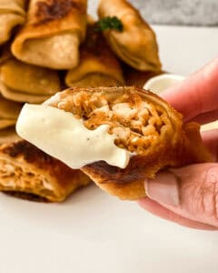 A person is holding a Buffalo Chicken Egg Roll.