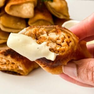 A person is holding a buffalo chicken egg roll.