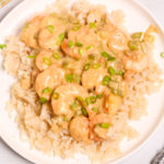 Close up on the Creamy Garlic Shrimp and Rice on a white dish.