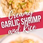 Creamy Garlic Shrimp and Rice on a plate and on a fork.