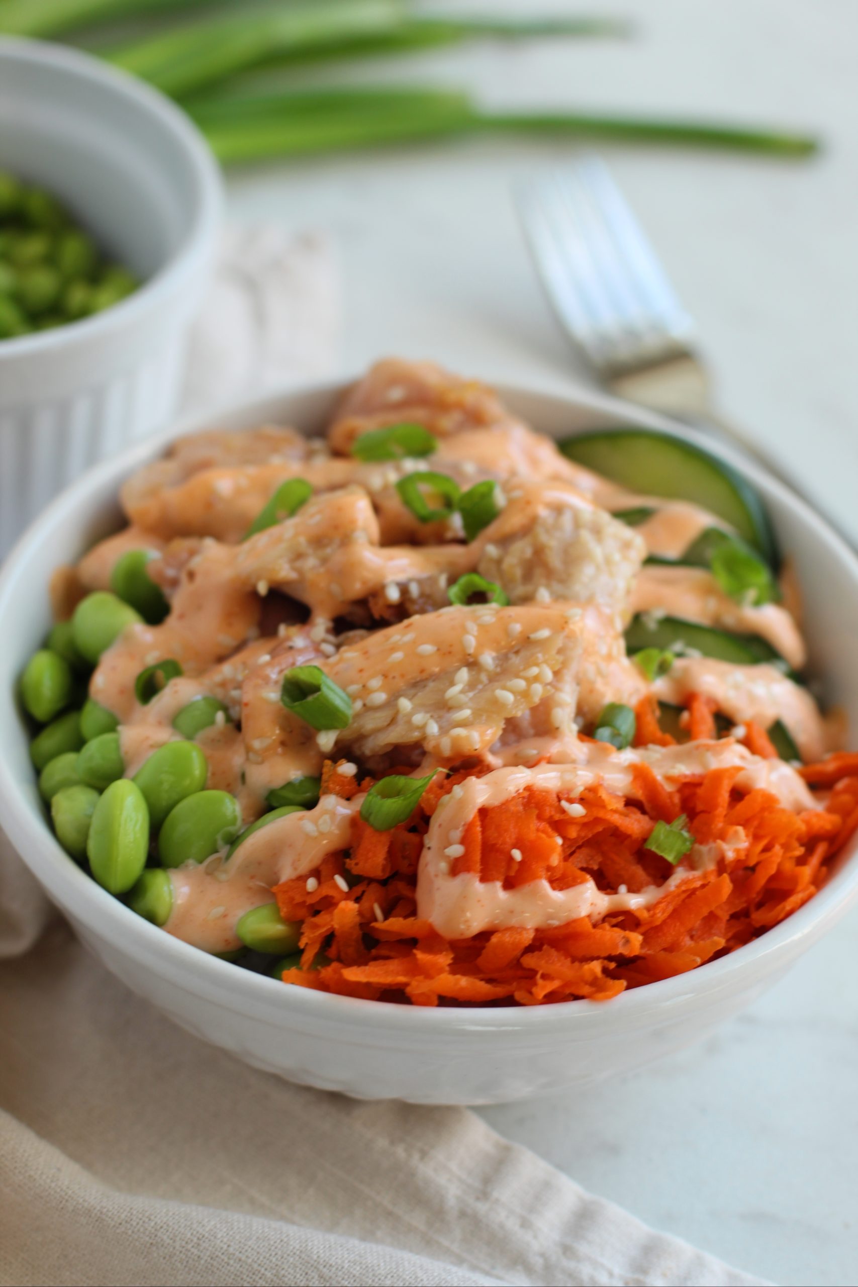 Top shot of the salmon bowl in close up.
