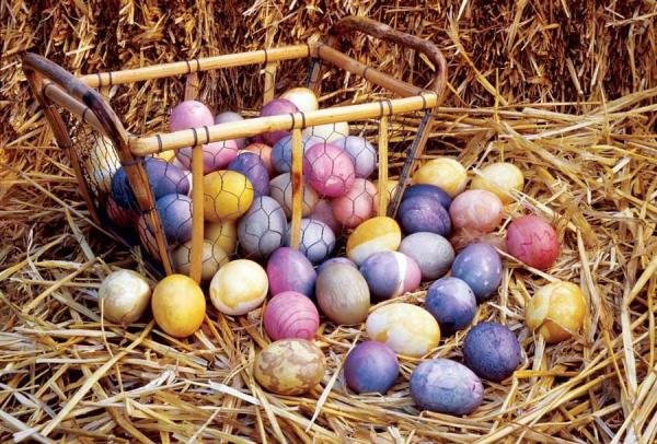 A basket of Easter Eggs dyed purple, pink and yellow.