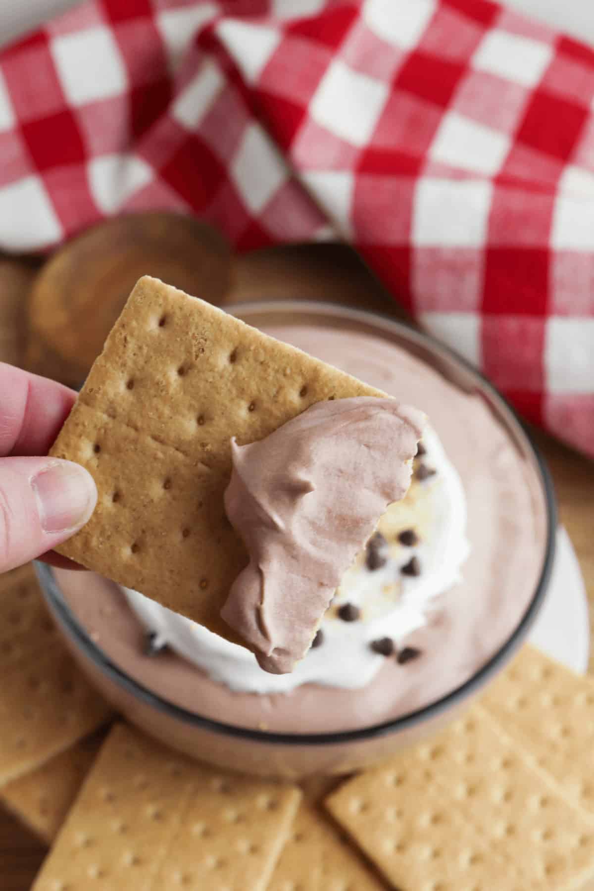 A hand holds a graham cracker dipped in a bowl of fluffy chocolate dip, with a red and white checkered cloth beautifully set in the background.