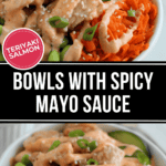 Enjoy our teriyaki salmon bowls, featuring succulent salmon drizzled with spicy mayo sauce, topped with green onions and sesame seeds, all served over a bed of shredded carrots.