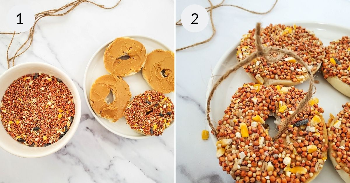 Covering the bagel with birdseed and stringing to hang.