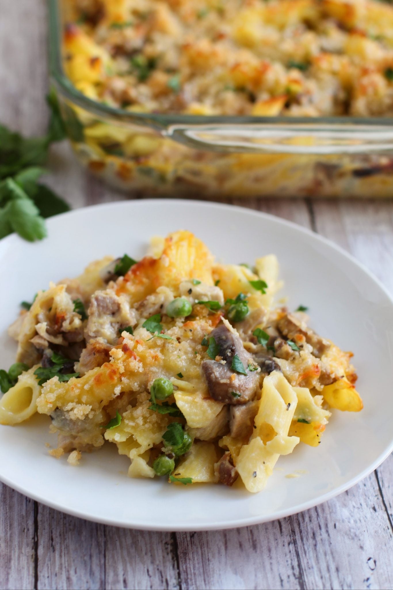 Turkey Noodle Casserole on a white plate.