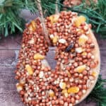 A birdseed ornament ready to be attached to a tree.