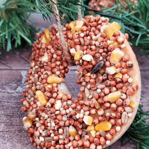 A birdseed ornament ready to be attached to a tree.