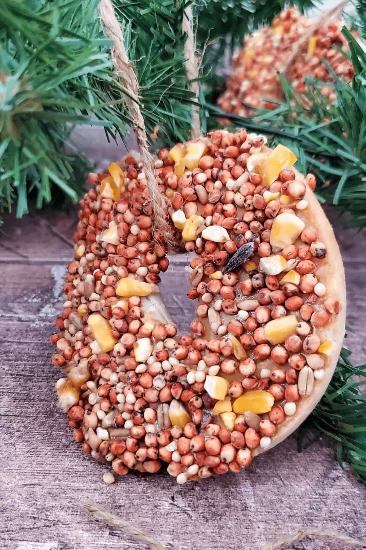 A birdseed ornament ready to be attached to a tree.