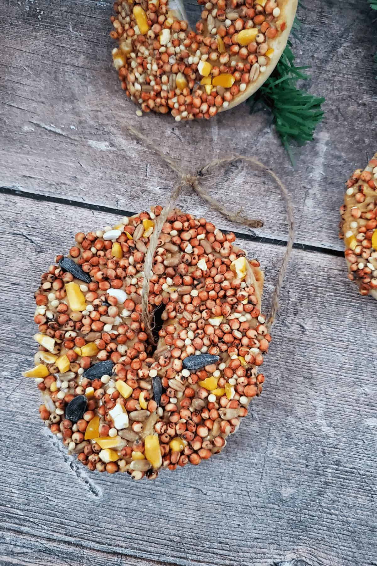 A closeup on the birdseed ornament.