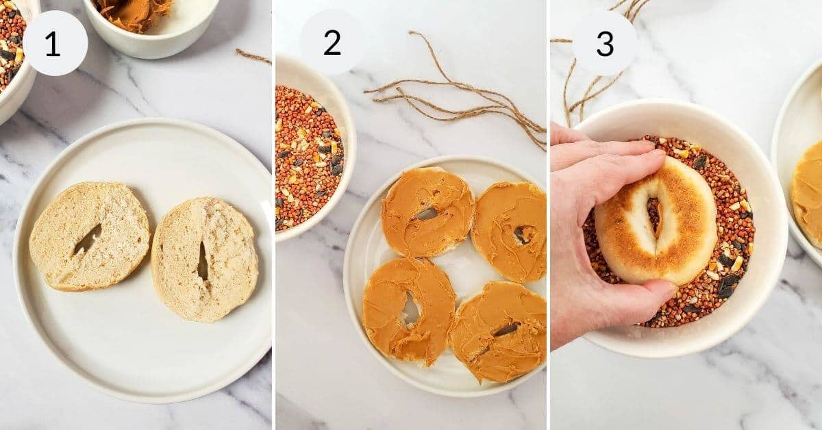 Cut the bagels, add the peanut butter and the seed.