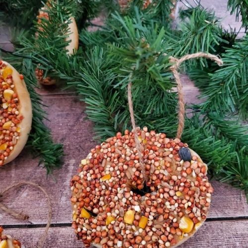 Birdseed Ornaments - WEBSTORY COVER