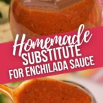 Homemade Substitute for Enchilada Sauce