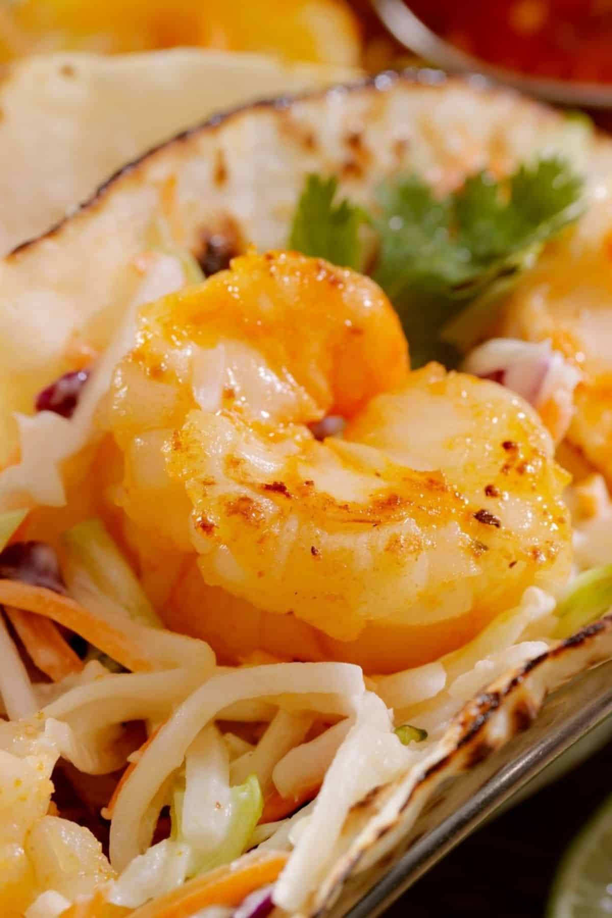 Close-up of grilled meat, shredded cabbage, carrots, and a sprig of cilantro on a tortilla.