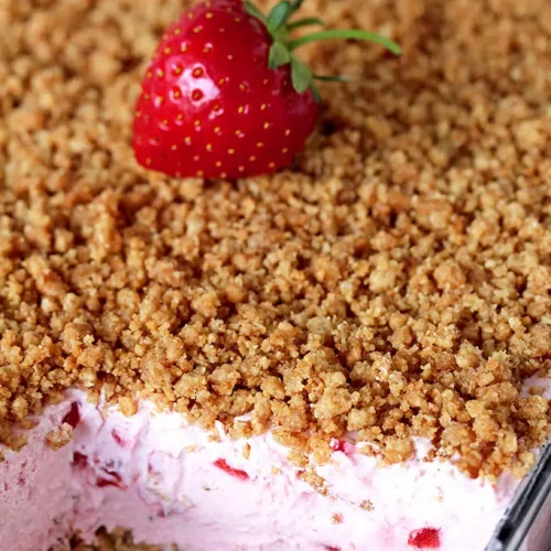 Frozen strawberry dessert topped with graham cracker