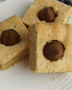 A close up on a plate of the peanut butter cookie bars.