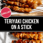 Skewers of grilled teriyaki chicken arranged on a platter, with text reading "Teriyaki Chicken on a Stick.