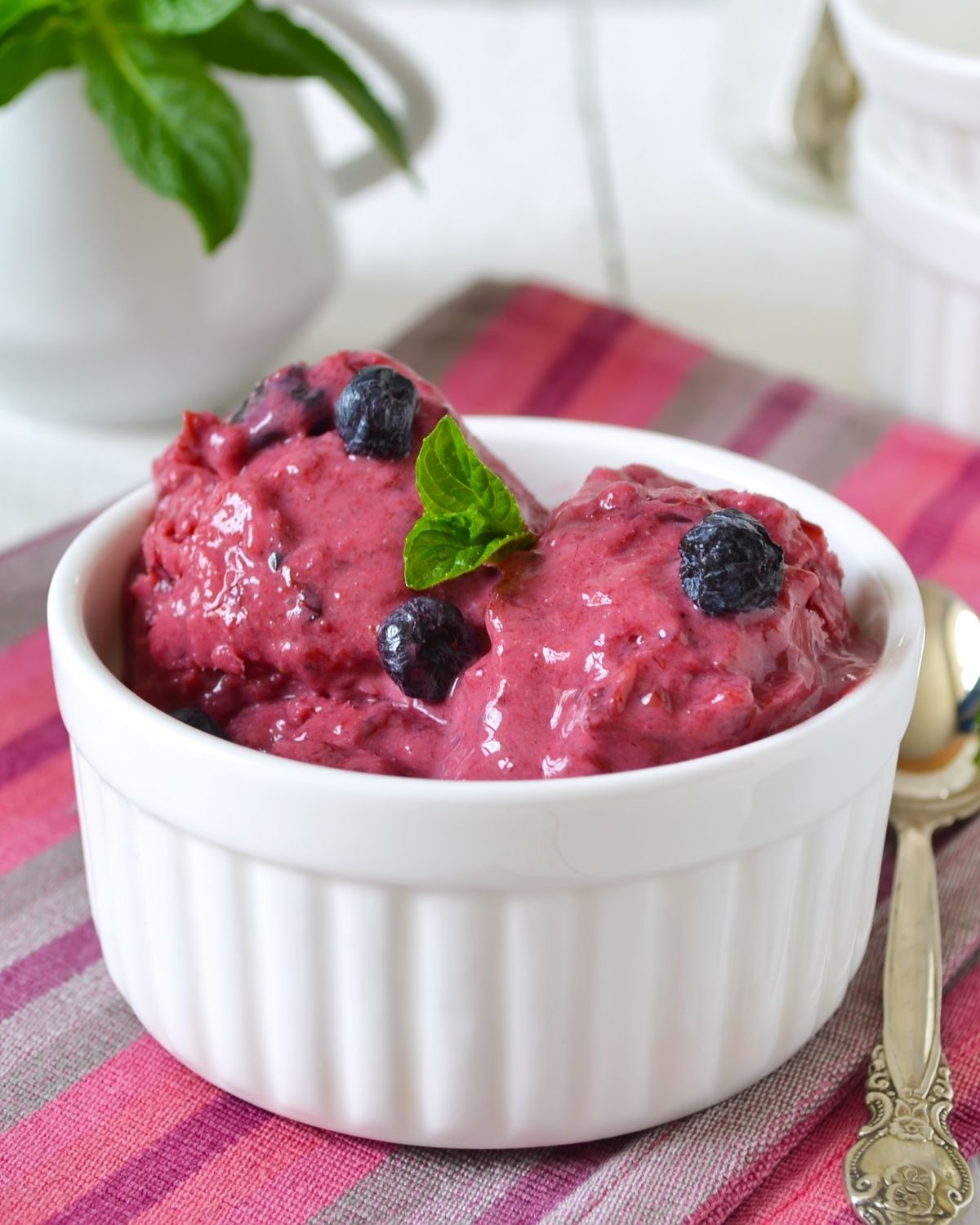 A white bowl filled with Watermelon Blueberry Sorbet.