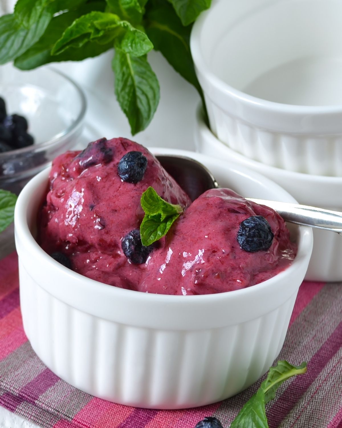 Watermelon Blueberry Sorbet with a garnish of mint leaves.