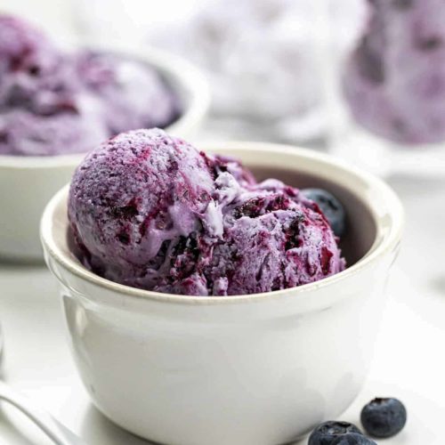Blueberry ice cream in white dish