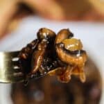 A close-up of a fork holding savory bowl of the flavorful dish blurred in the background.