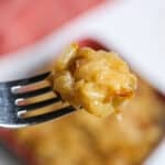 A close-up of a fork holding a bite of cheesy baked macaroni, with Crockpot Caramelized Onions adding rich flavor, and a baking dish of macaroni and cheese in the blurred background.