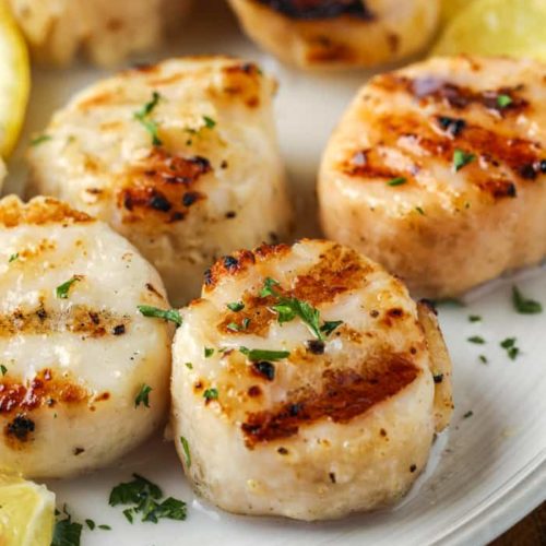 A closeup of several perfectly grilled scallops garnished with parsley