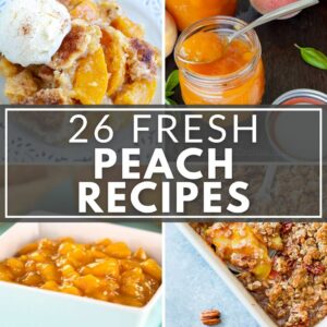 a collection of fresh peach dessert recipes