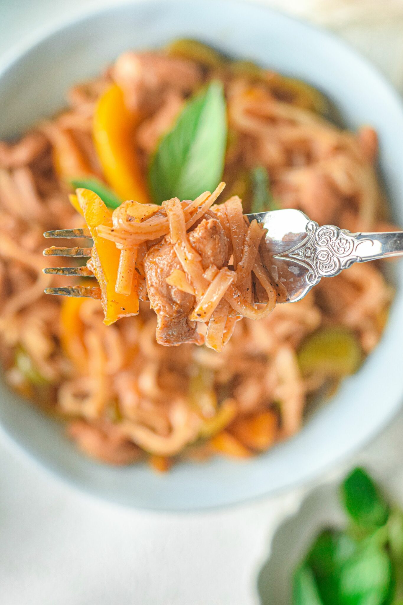 A closeup on the noodle dish.