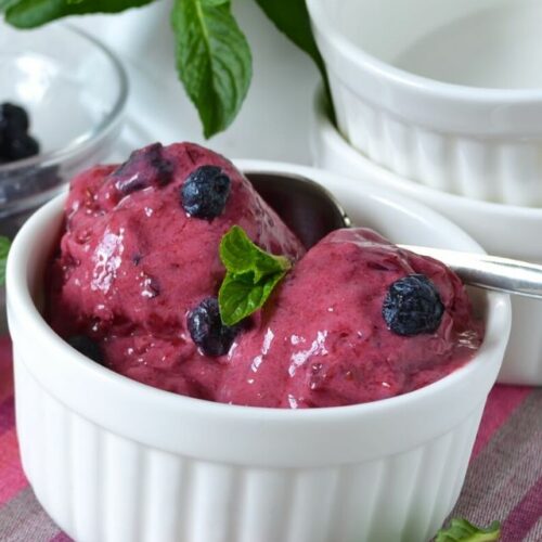 Watermelon Blueberry Sorbet - WEBSTORY COVER