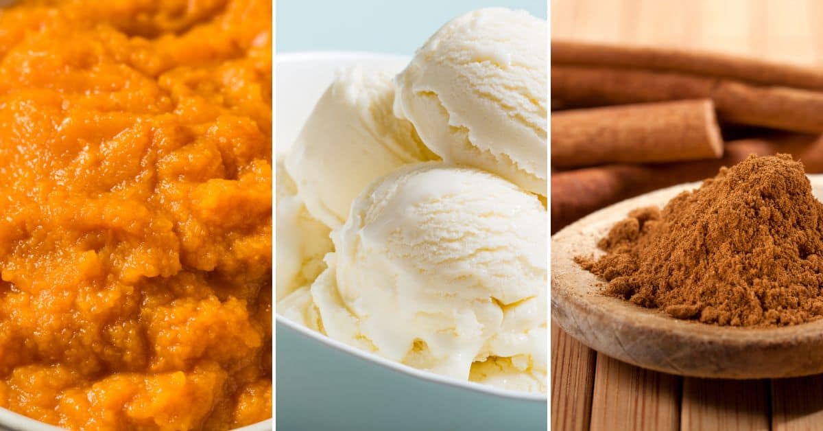 pumpkin, ice cream and spices.