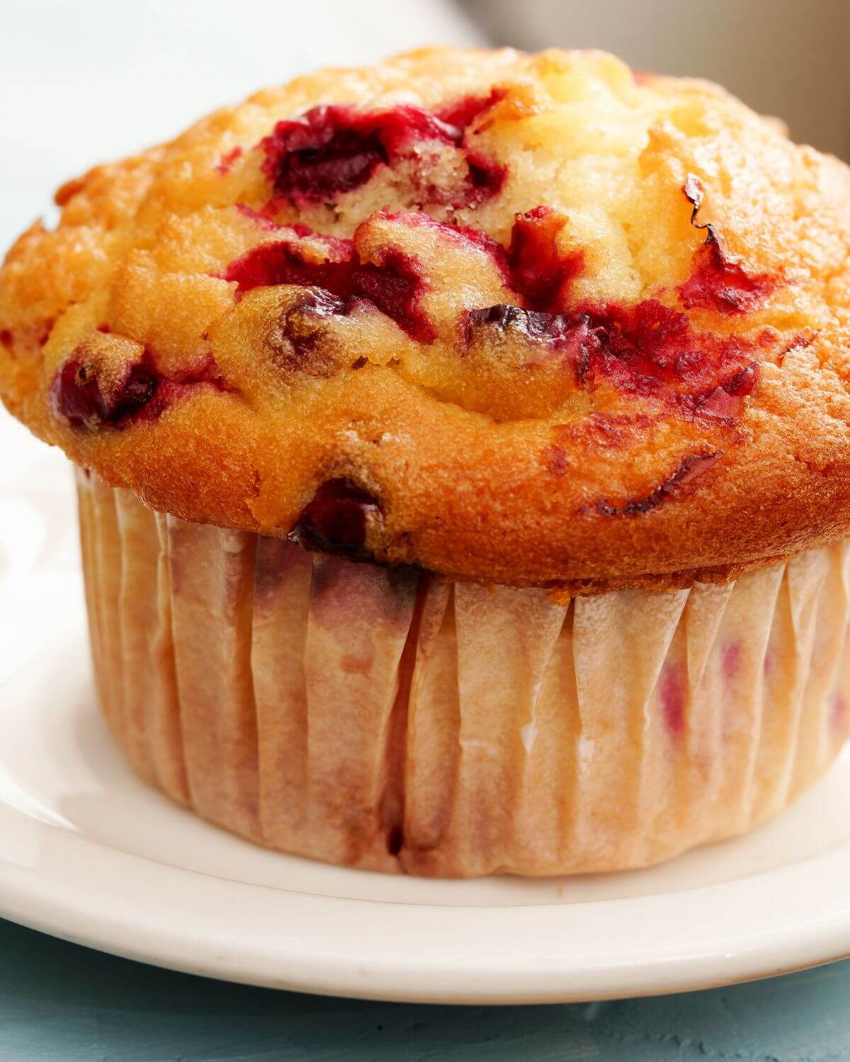 Close up on the Muffin.