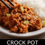 Teriyaki Chicken Thighs cooked in a crock pot.