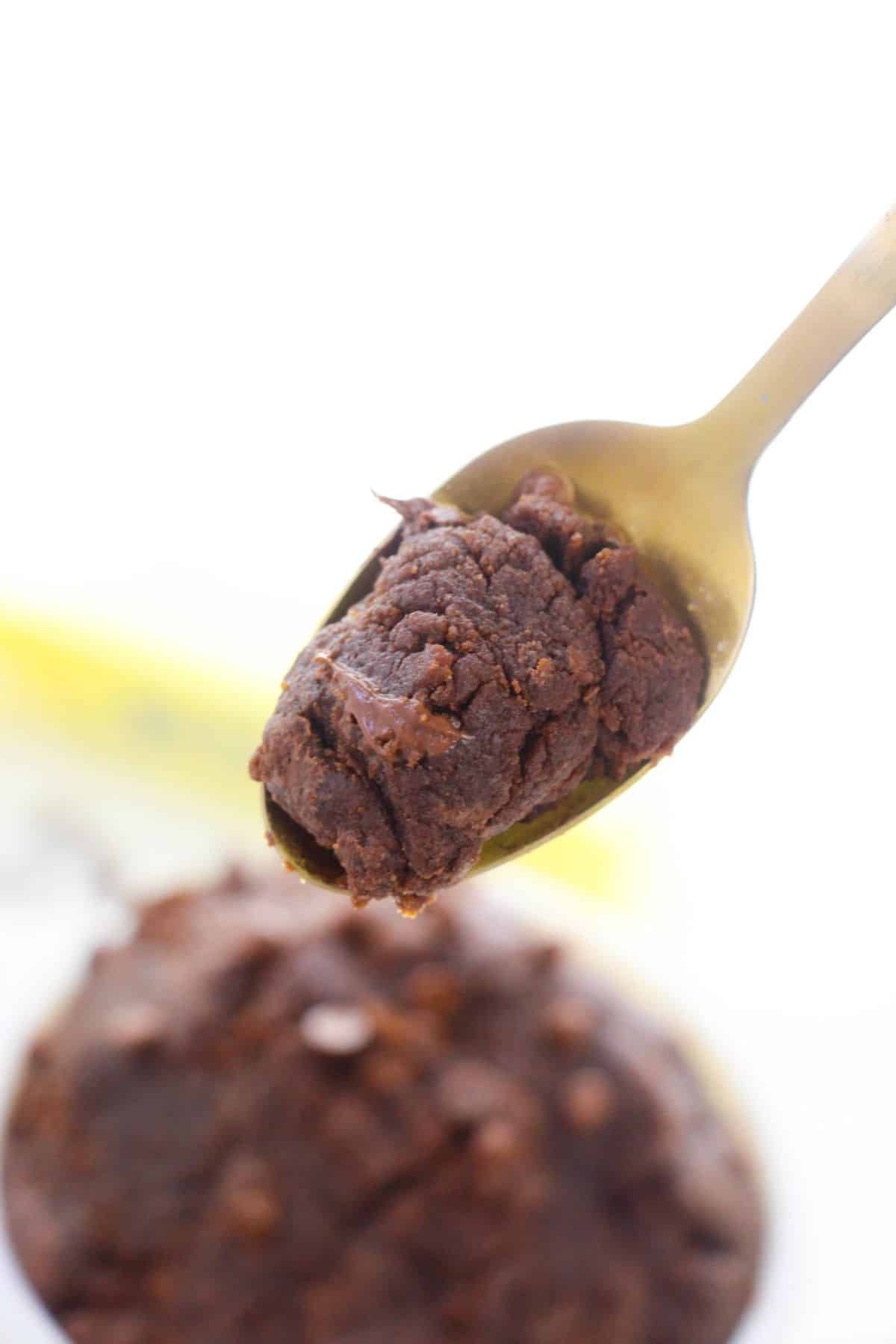A spoon holding a portion with a blurred background.