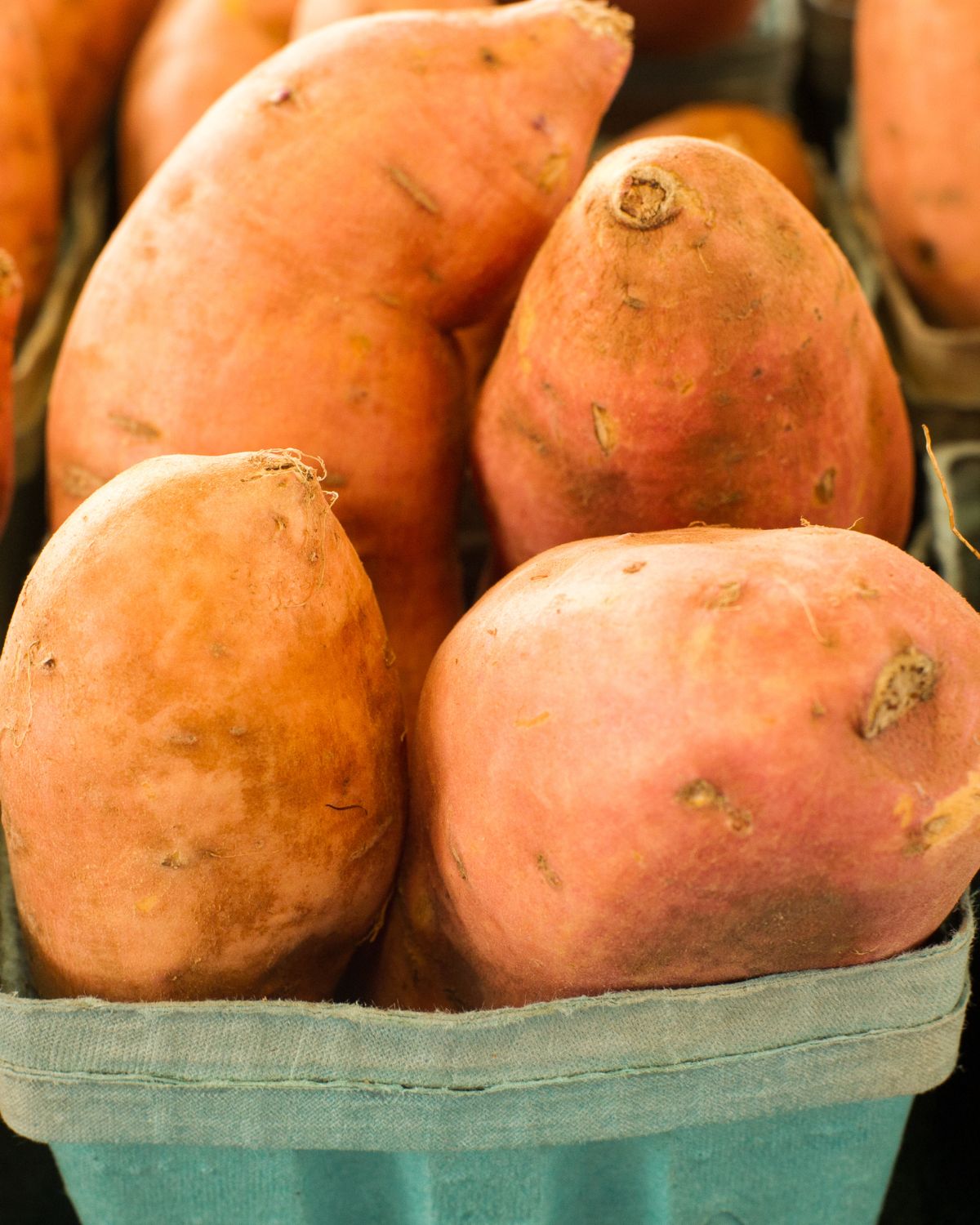 Sweet Potatoes in a container.