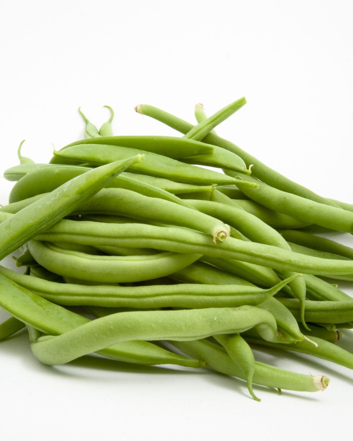 Green Beans for casserole.