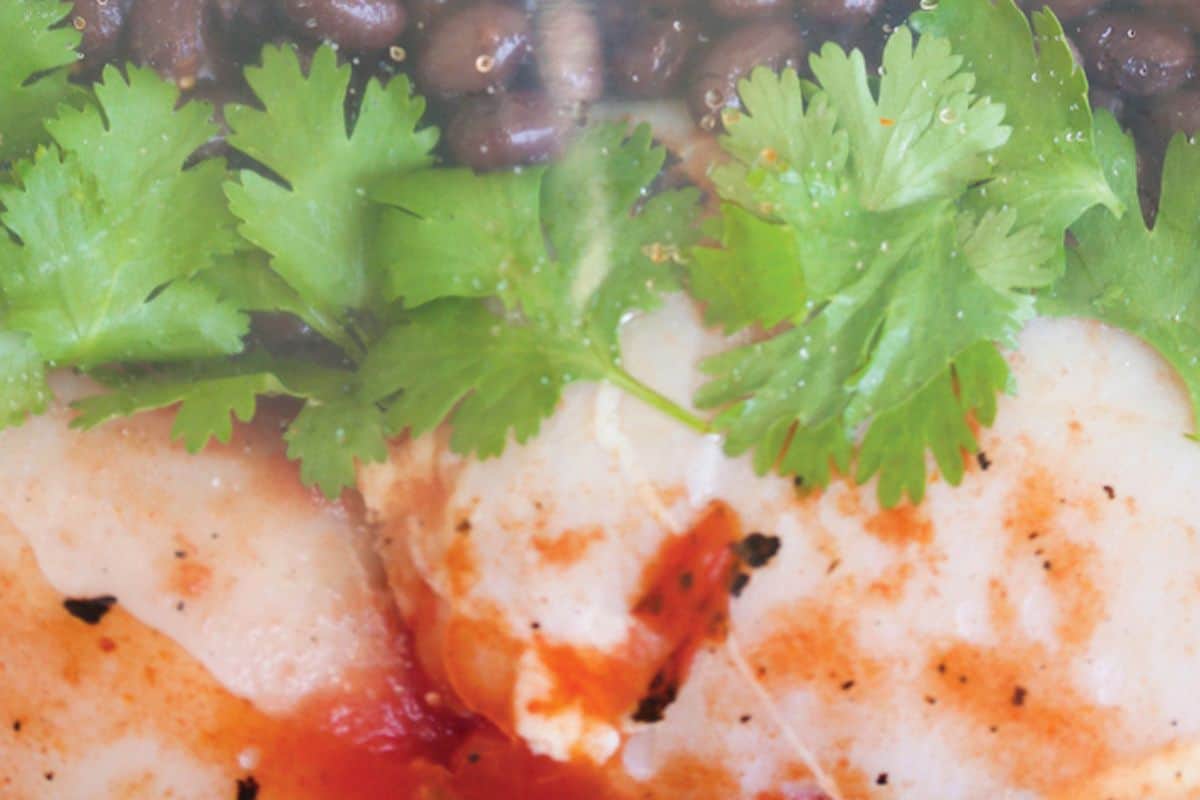 An extreme close-up of some cilantro lime chicken and black beans in a bag ready to be put in a crockpot. 