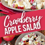 A top shot and side view of the cranberry apple salad.