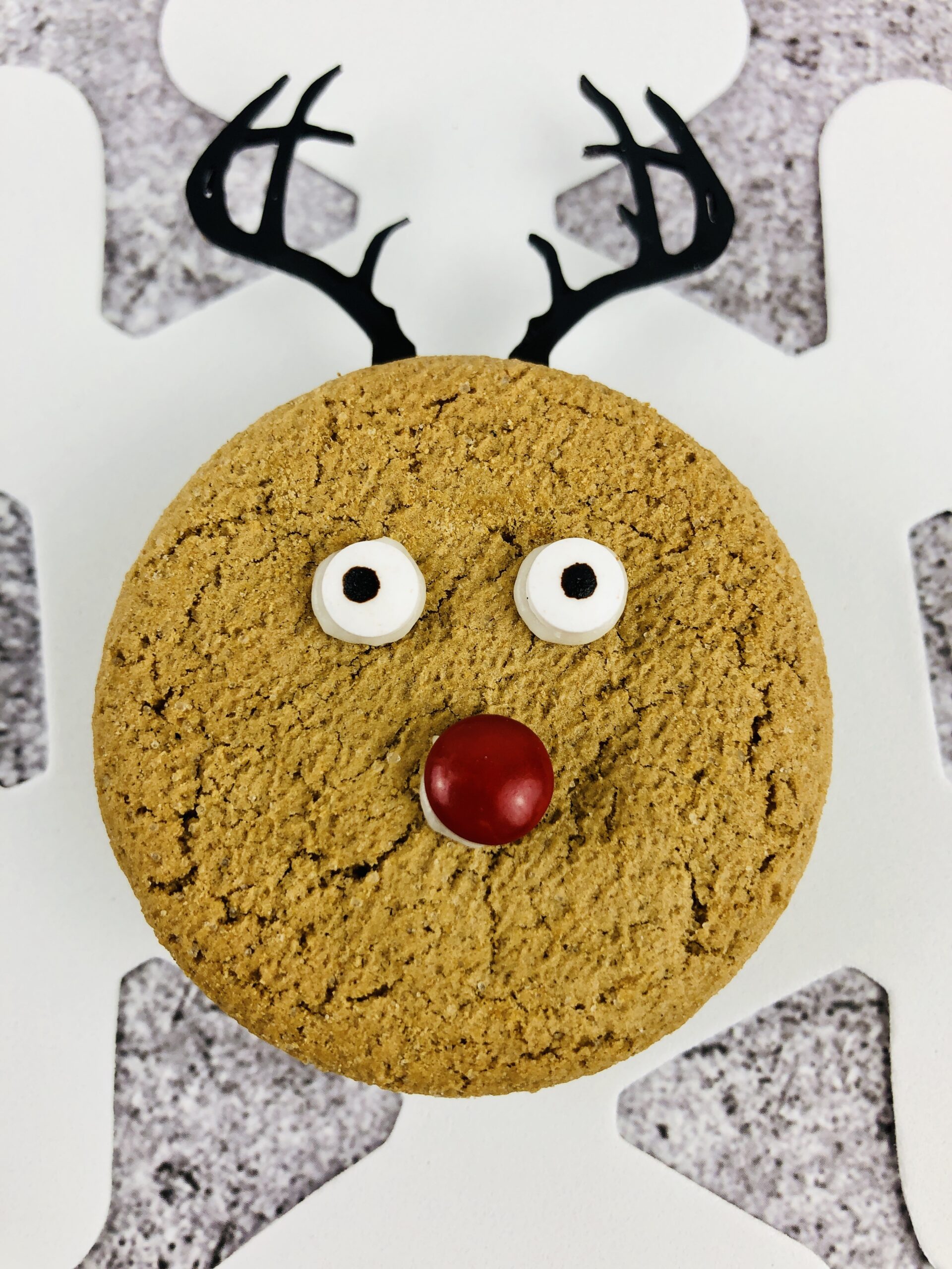 A single gingerbread reindeer cookie.