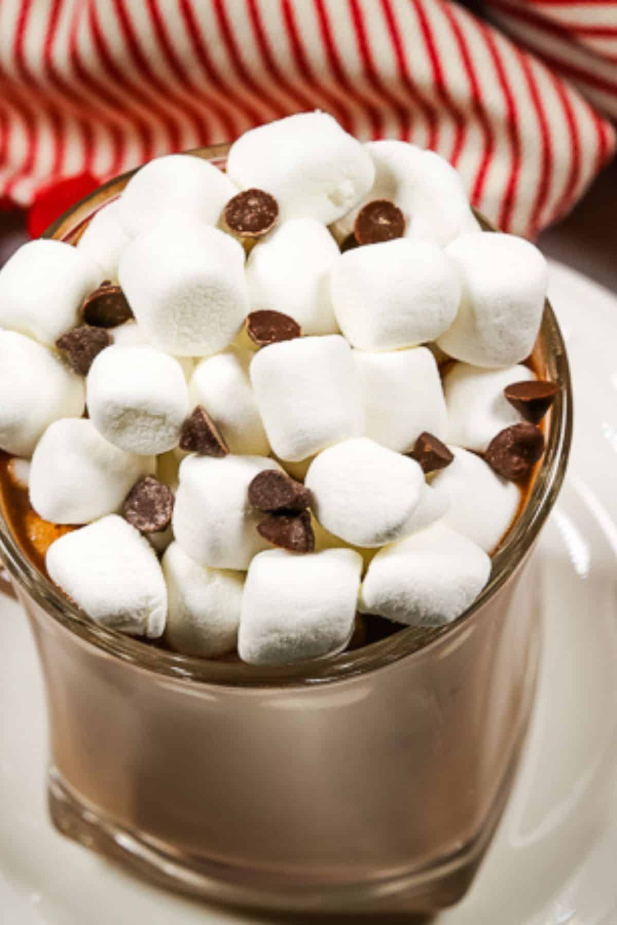 A glass mug filled with Slow Cooker Hot Cocoa, topped with mini marshmallows and chocolate chips, sits in front of a red and white striped cloth in the background.