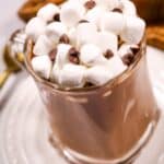 A glass mug of Slow Cooker Hot Cocoa topped with mini marshmallows and chocolate chips sits on a white plate, with a spoon and a striped cloth in the background.
