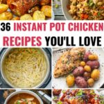 A collection of wonderful chicken recipes.