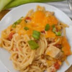 A plate of creamy rotel chicken spaghetti topped with melted cheese and chopped green onions, served on a white plate with a fork and fresh green onions nearby.